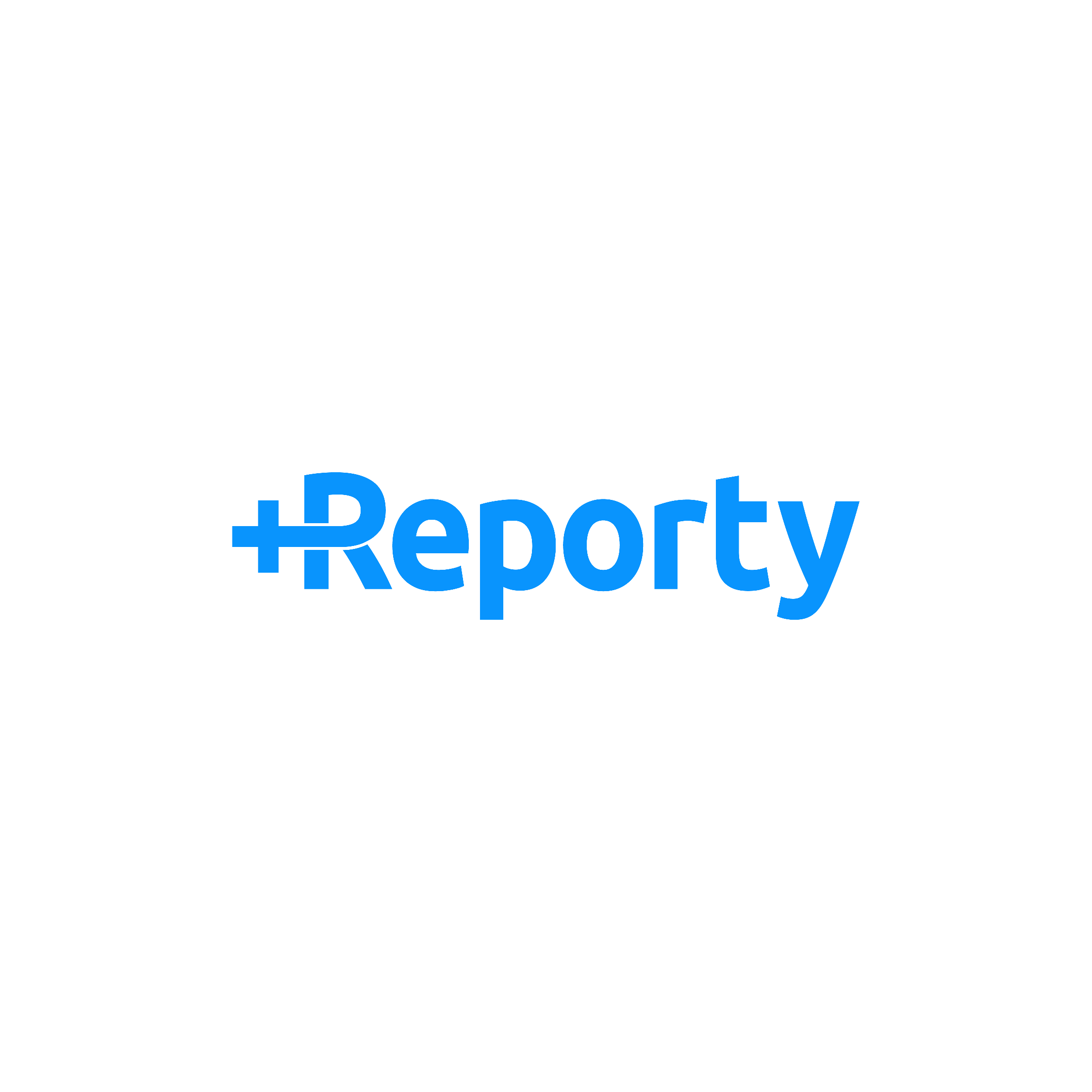 Reporty
