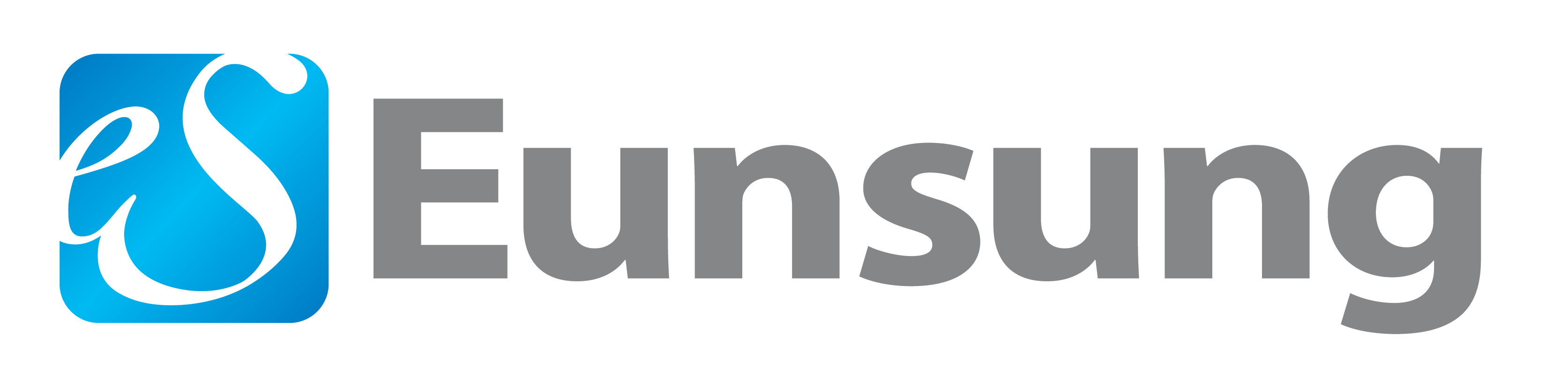 Eunsung Global Corp.