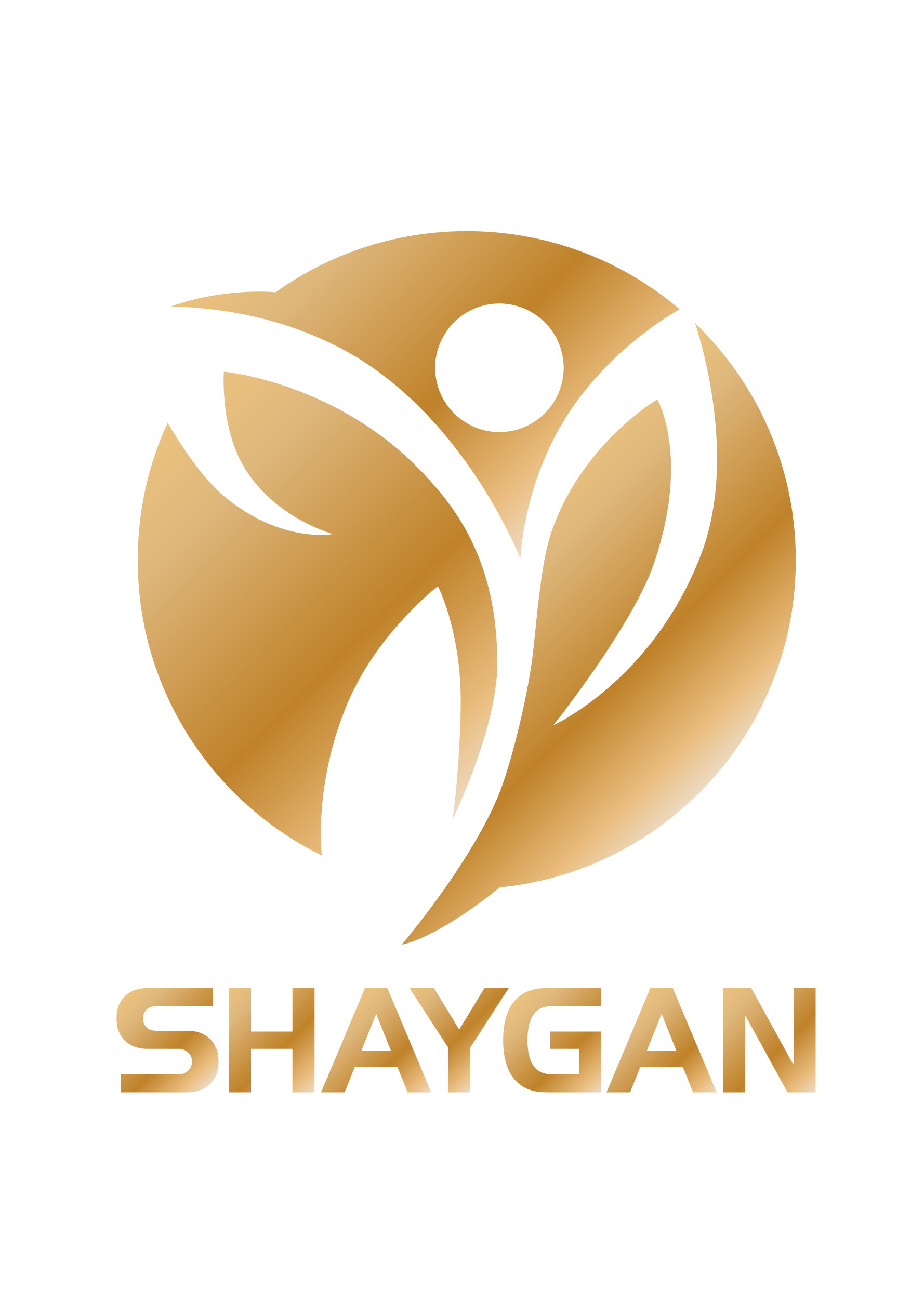 Shaygan Co.