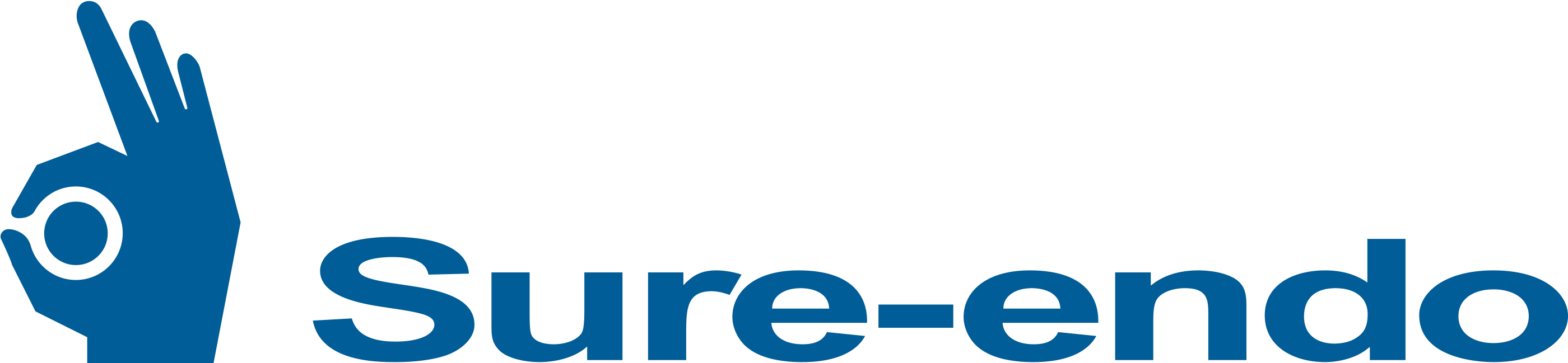 Sure Dent Corporation