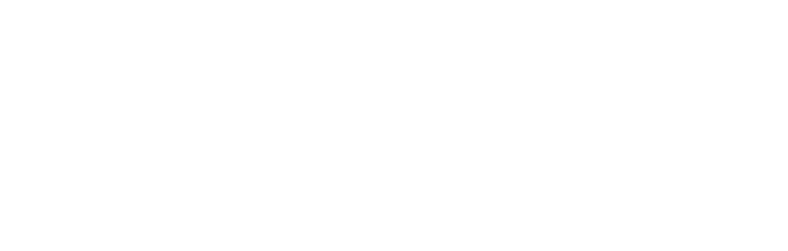 M.B.O. Italia