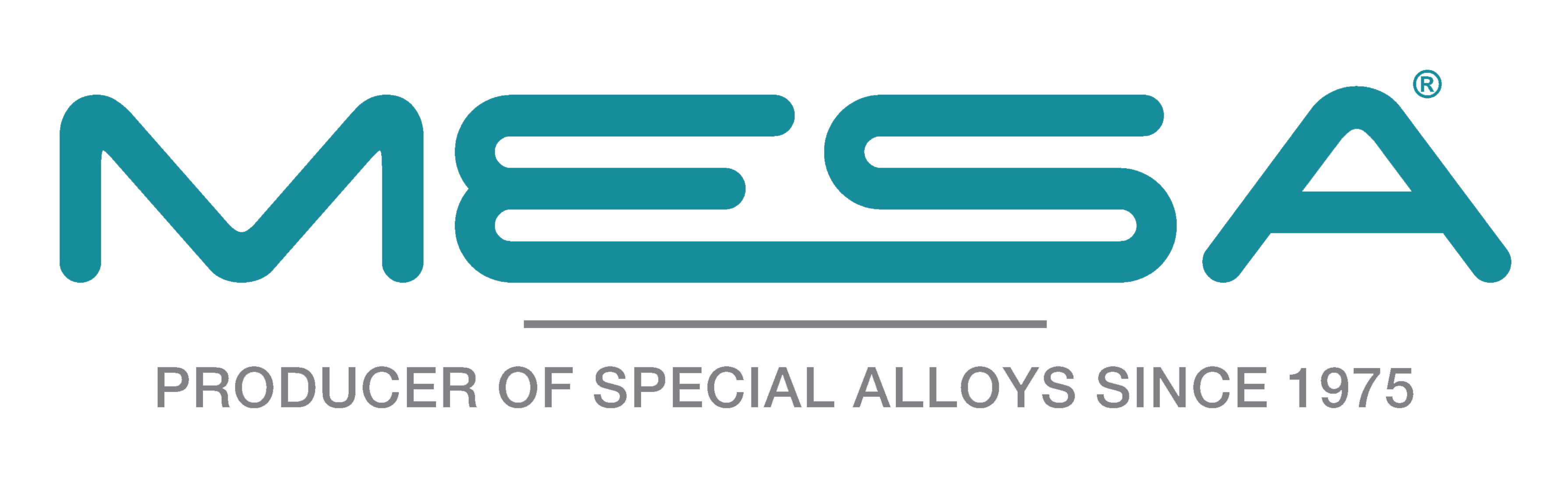 MESA ITALIA SRL