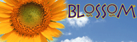 Blossom / Mexpo International Inc.